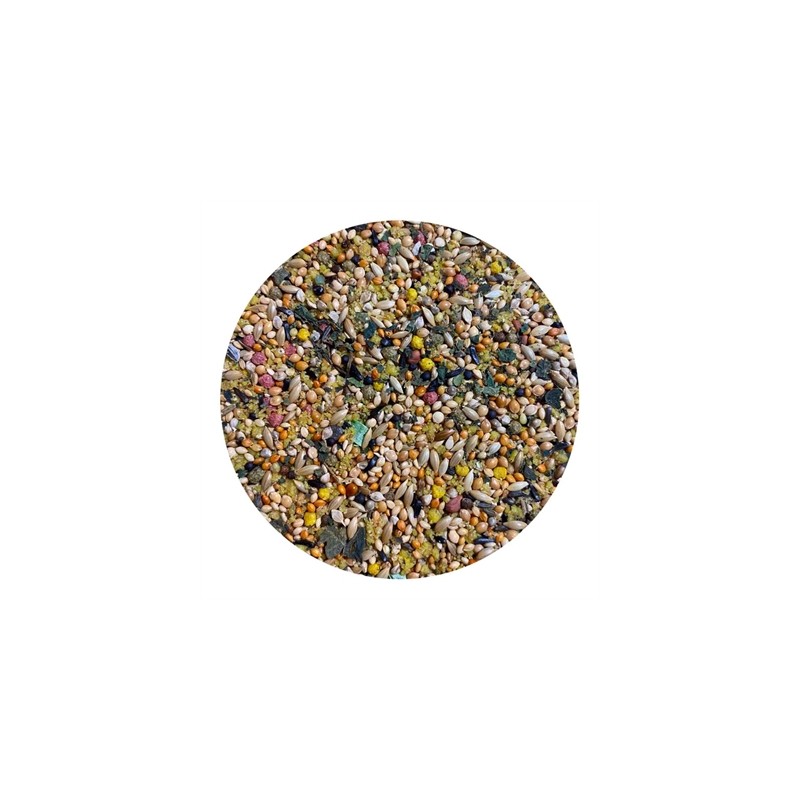 Utopia Tropische Vogels Top Quality