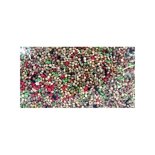 De Vries Tropisch Zaad