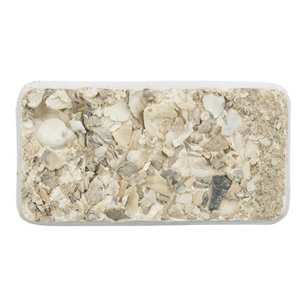 Trixie Piksteen Met Schelpen Mineralen En Mosselen