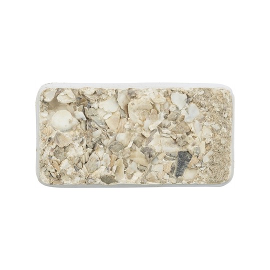 Trixie Piksteen Met Schelpen Mineralen En Mosselen