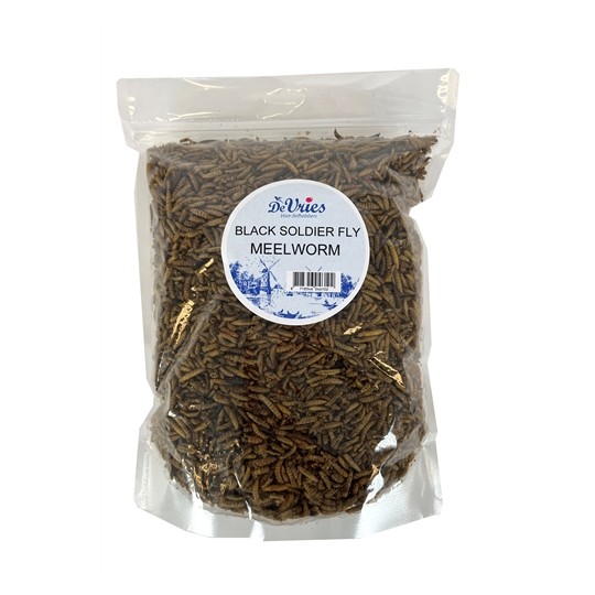 De Vries Meelworm Black Soldier Fly