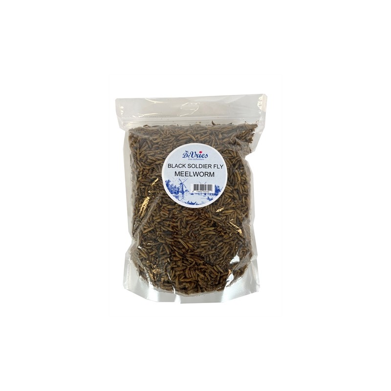 De Vries Meelworm Black Soldier Fly