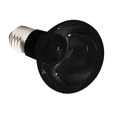 Komodo Nachtgloed Lamp Es