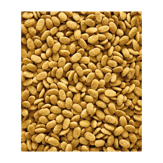 Nutribird P15 Original Onderhoudsvoeder