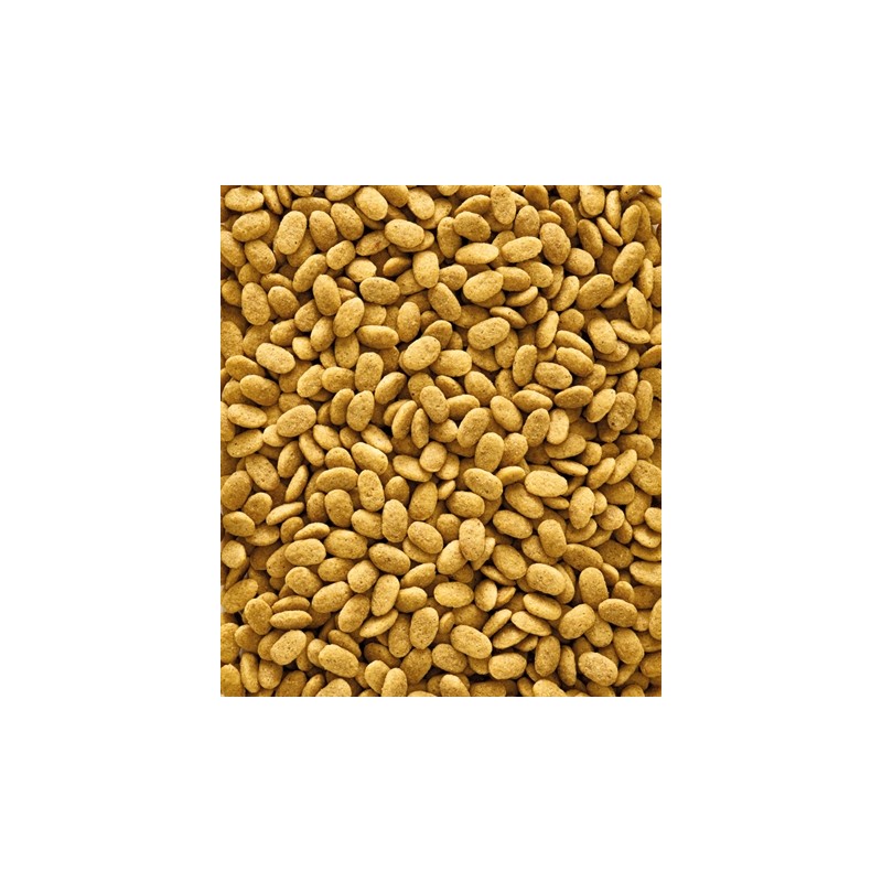 Nutribird P15 Original Onderhoudsvoeder