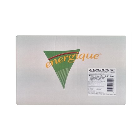 Energique Nr 2 Puppy