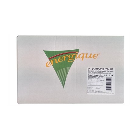 Energique Nr 2 Puppy