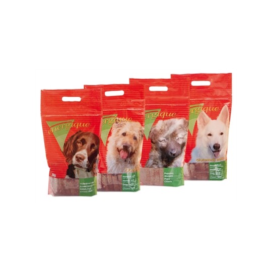 Energique Nr 2 Puppy