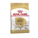 Royal Canin Labrador Retriever Adult
