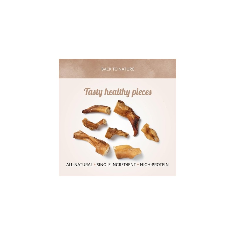 Antos Bullepeespuntjes