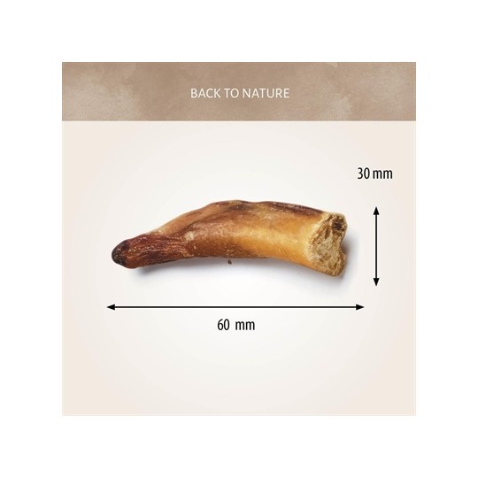 Antos Bullepeespuntjes