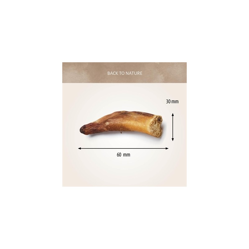 Antos Bullepeespuntjes