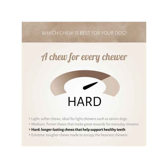 Antos Bullepeespuntjes