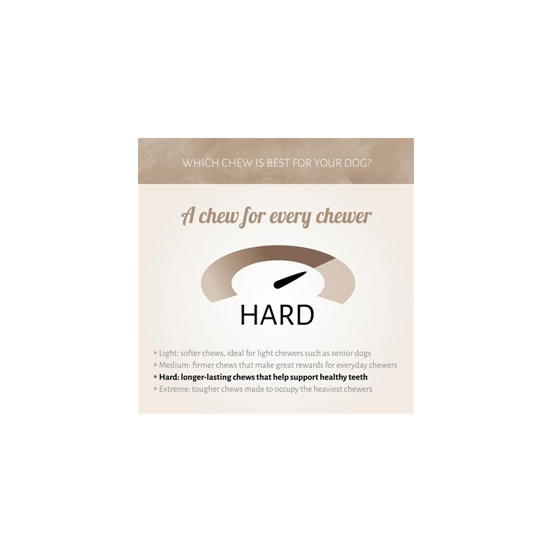 Antos Bullepeespuntjes