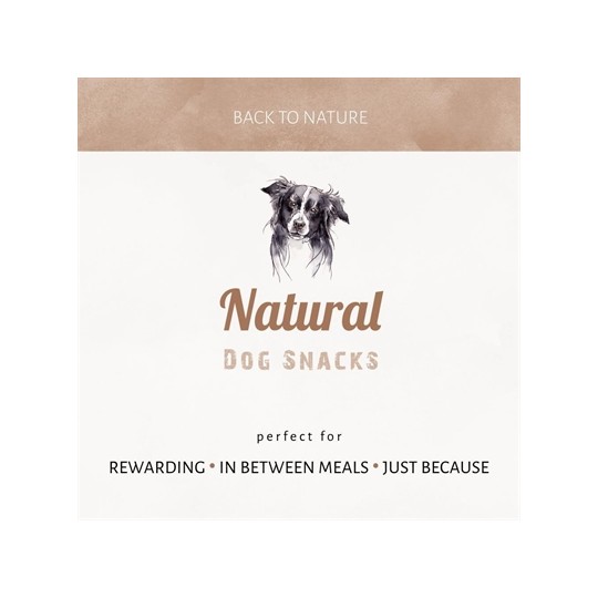 Antos Bullepeespuntjes