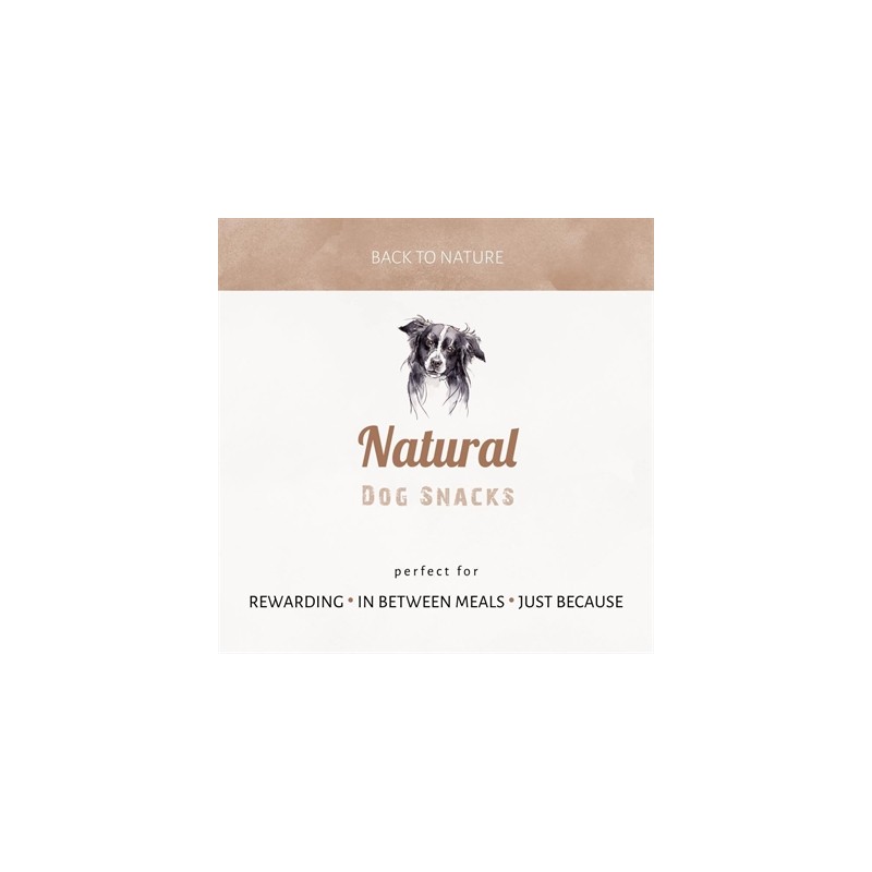 Antos Bullepeespuntjes