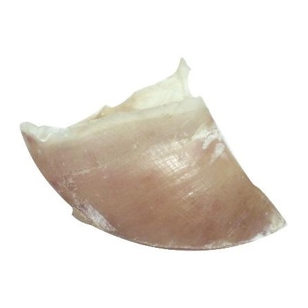 Dogstar Kalfshoeven Groot