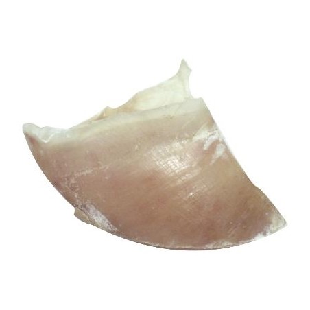 Dogstar Kalfshoeven Groot