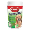 Sanal Dog Bodyguard