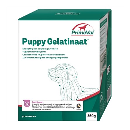 Primeval Gelatinaat Hond