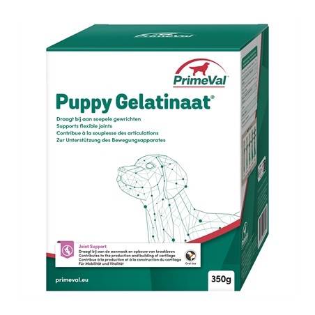 Primeval Gelatinaat Hond