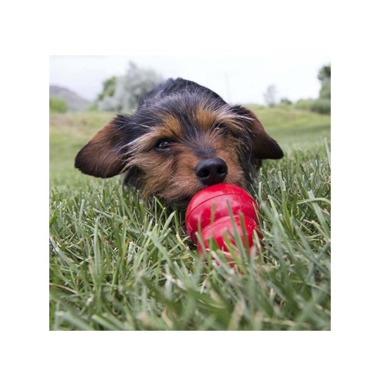 Kong Easy Treat Lever