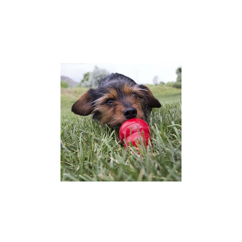 Kong Easy Treat Lever