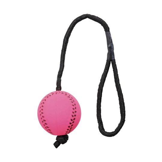 Trixie Sportbal Aan Touw Schuimrubber Drijvend Assorti