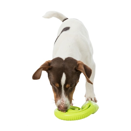 Trixie Snack-Slang Tpr Opgerold