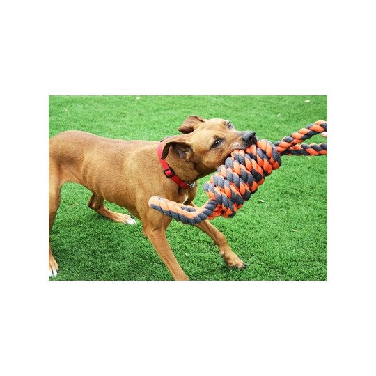 Happy Pet Nuts For Knots Extreme Spoel 8 Vorm Tugger Grijs / Oranje