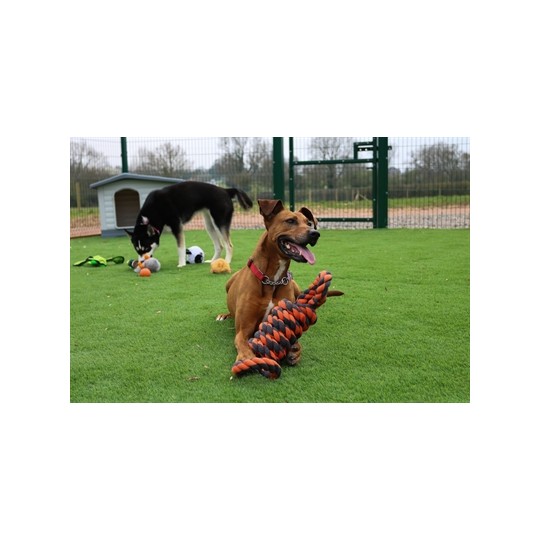 Happy Pet Nuts For Knots Extreme Spoel 8 Vorm Tugger Grijs / Oranje