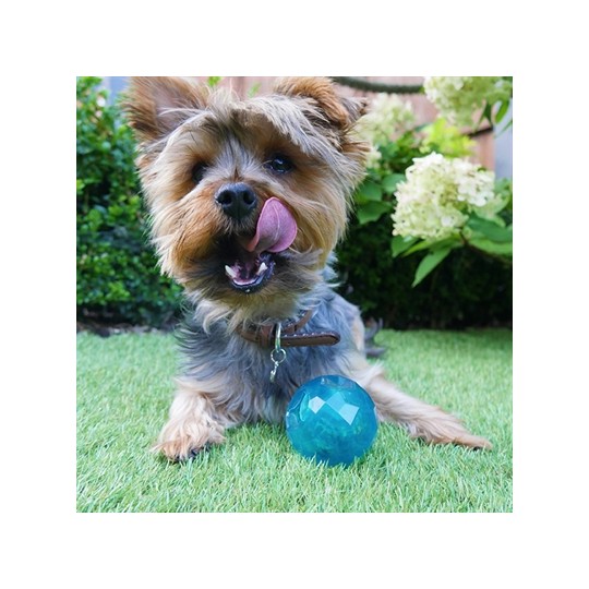 Biosafe Puppy Snack Bal Blauw