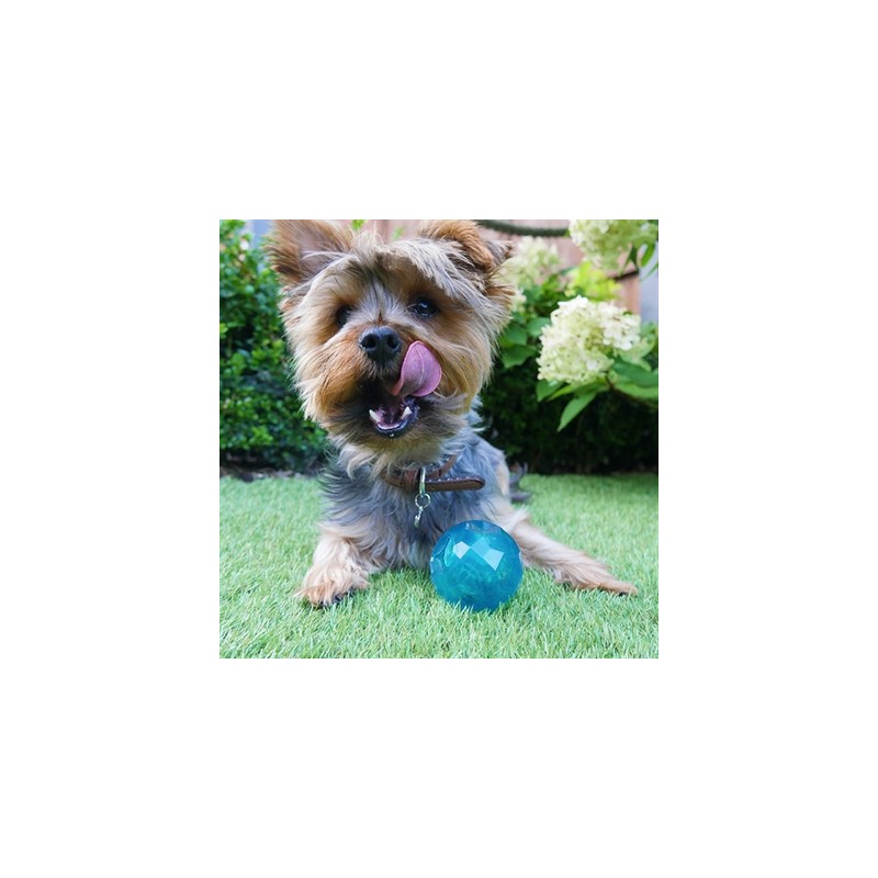 Biosafe Puppy Snack Bal Blauw