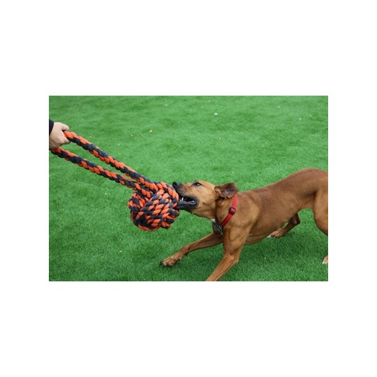 Happy Pet Nuts For Knots Extreme Bal Tugger