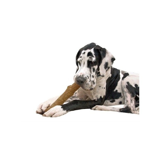 Petstages Dogwood Durable Stick