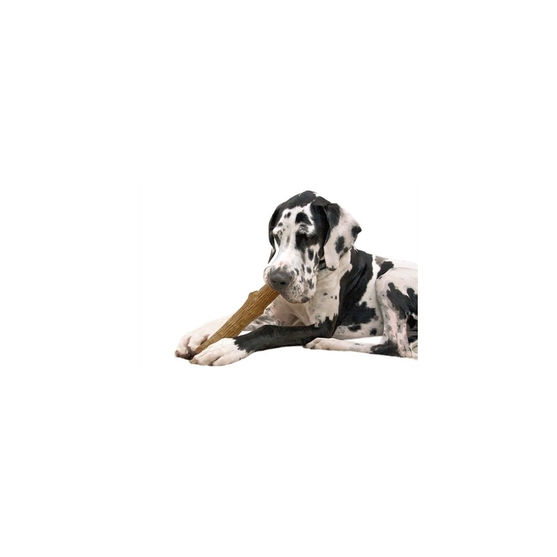 Petstages Dogwood Durable Stick