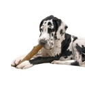 Petstages Dogwood Durable Stick