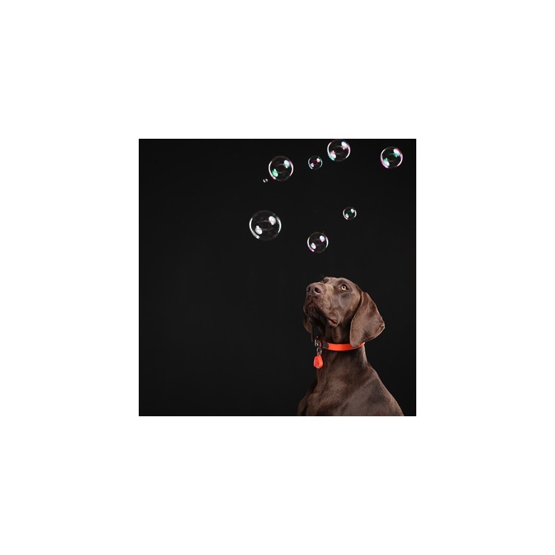 Tickless Teek En Vlo Afweer Voor Hond En Kat Fluoriserend Oranje