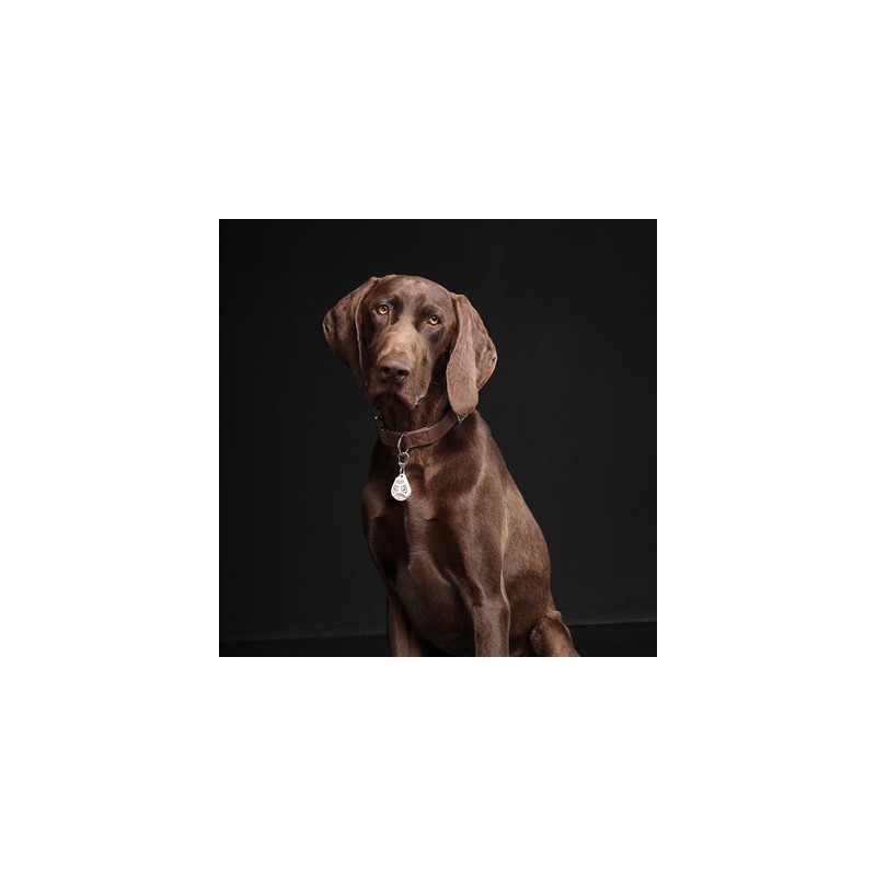 Tickless Teek En Vlo Afweer Voor Hond En Kat Beige