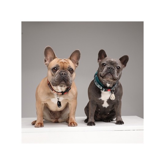 Tickless Teek En Vlo Afweer Voor Hond En Kat Beige