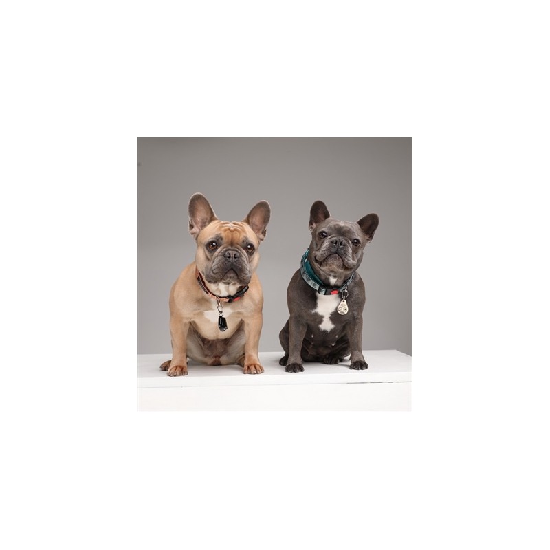 Tickless Teek En Vlo Afweer Voor Hond En Kat Beige