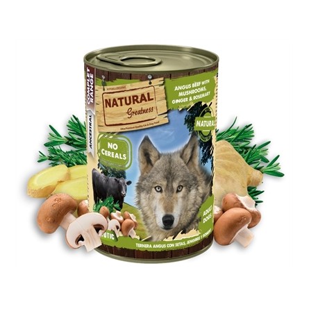 Natural Greatness Angus Beef / Mushrooms / Ginger / Rosemary