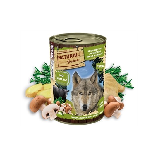 Natural Greatness Angus Beef / Mushrooms / Ginger / Rosemary