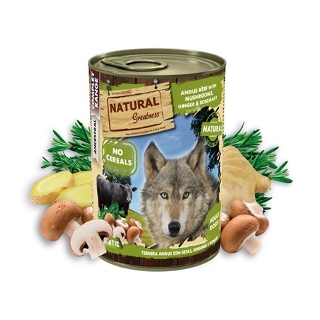 Natural Greatness Angus Beef / Mushrooms / Ginger / Rosemary