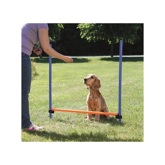 Trixie Dog Activity Agility Horde Blauw / Oranje