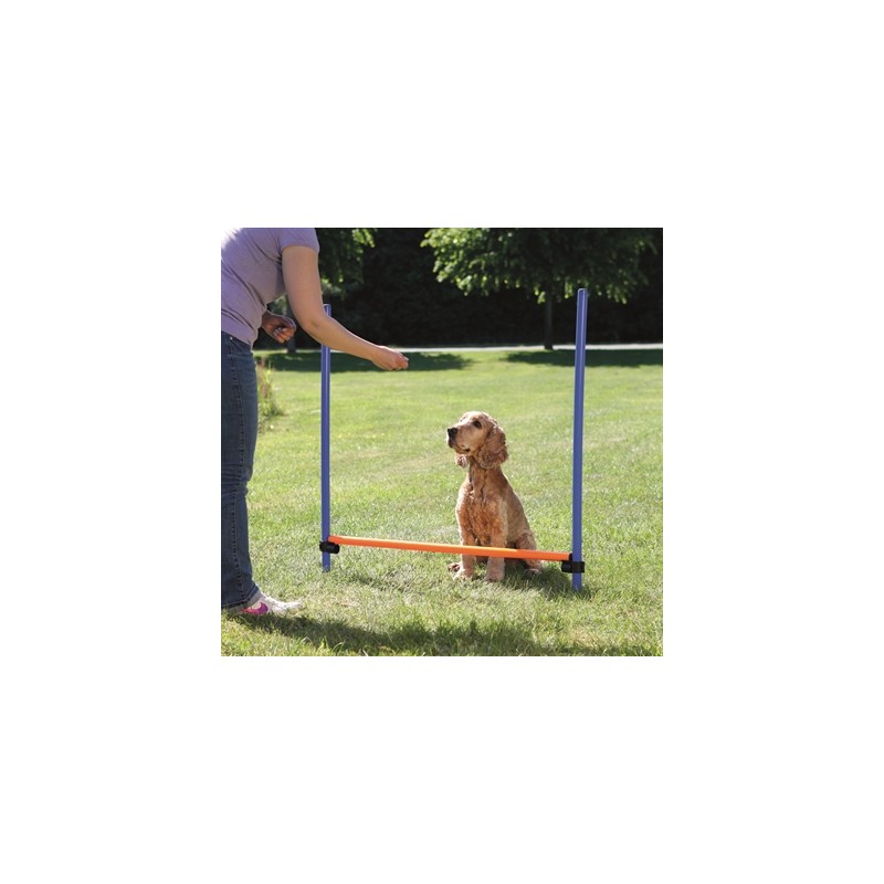 Trixie Dog Activity Agility Horde Blauw / Oranje