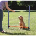 Trixie Dog Activity Agility Horde Blauw / Oranje