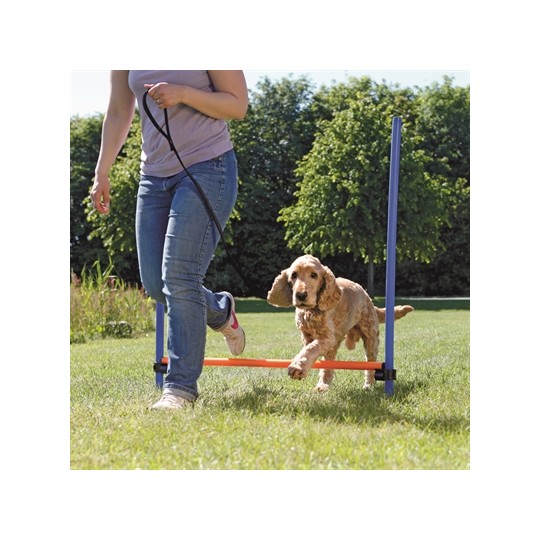 Trixie Dog Activity Agility Horde Blauw / Oranje