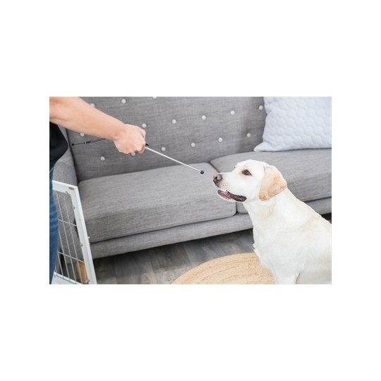 Trixie Dog Activity Target Stick Aanwijsstok Assorti