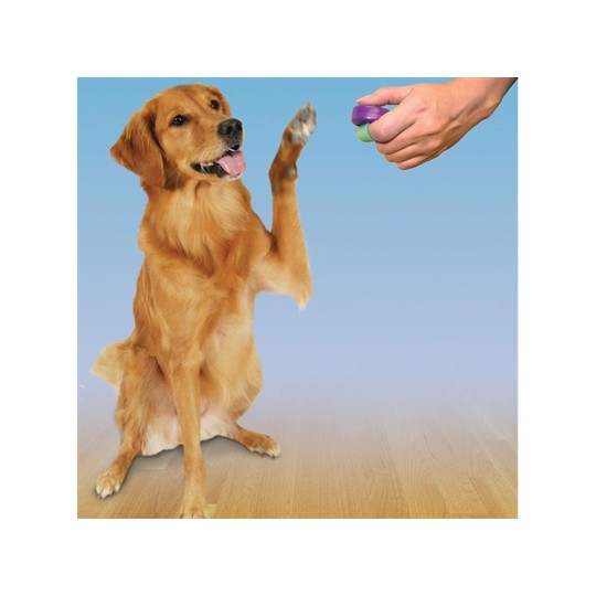 Clik-R Petsafe Clicker Voor Training